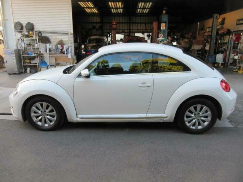 THE BEETLE