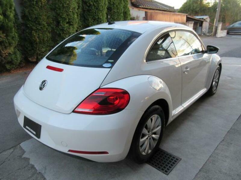 THE BEETLE