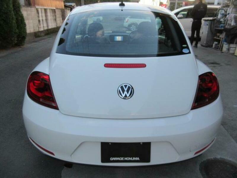 THE BEETLE