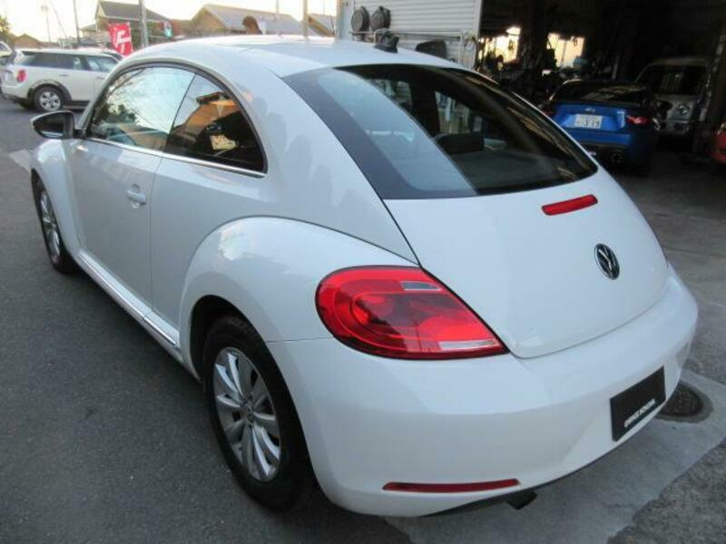 THE BEETLE