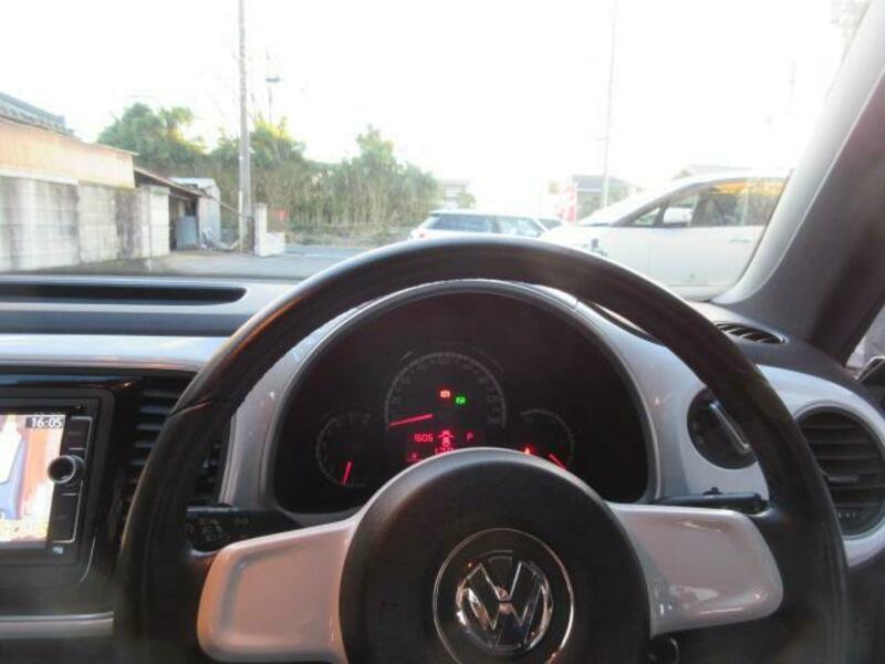 THE BEETLE