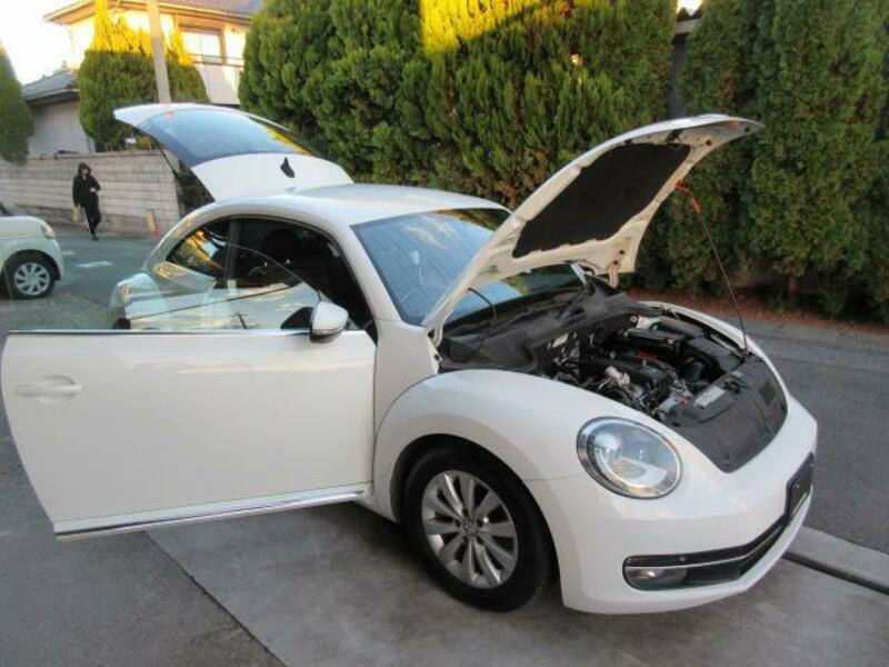 THE BEETLE