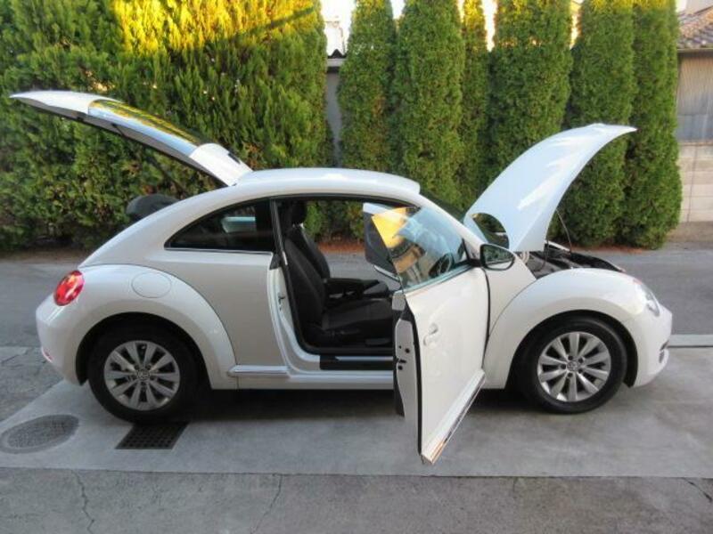 THE BEETLE