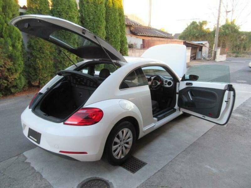 THE BEETLE