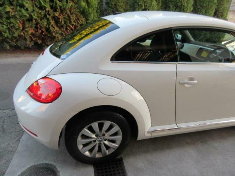 THE BEETLE