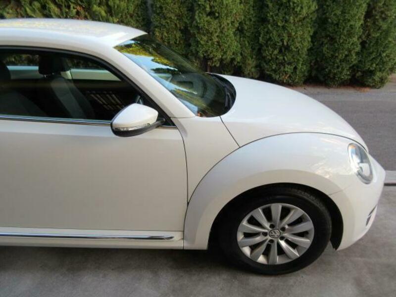 THE BEETLE