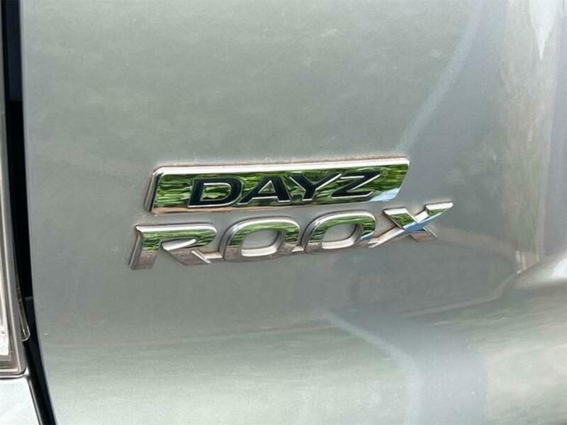 DAYZ ROOX