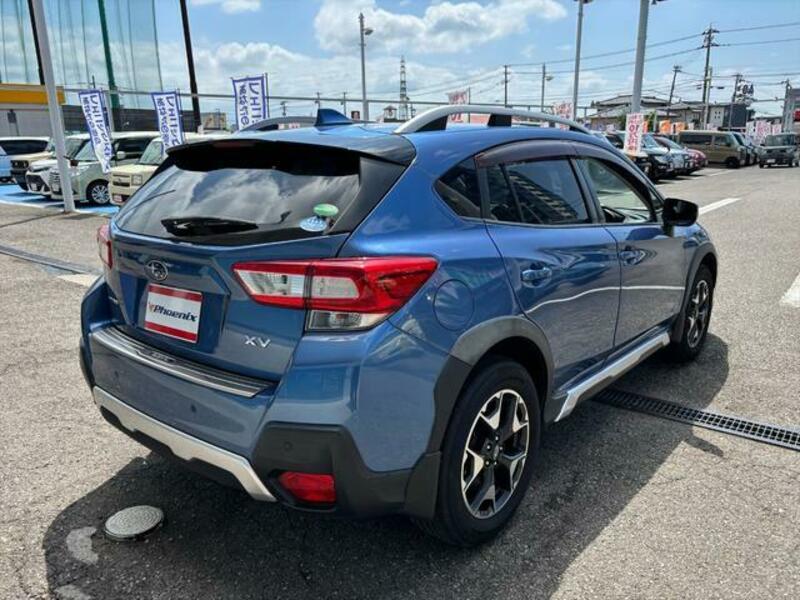 XV
