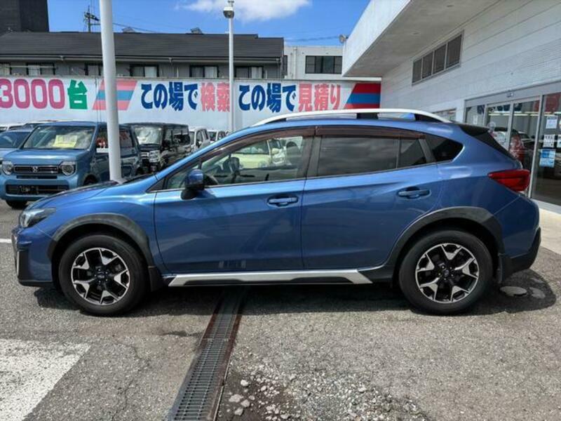 XV