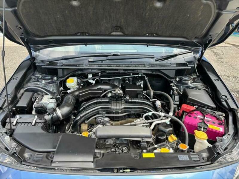 XV