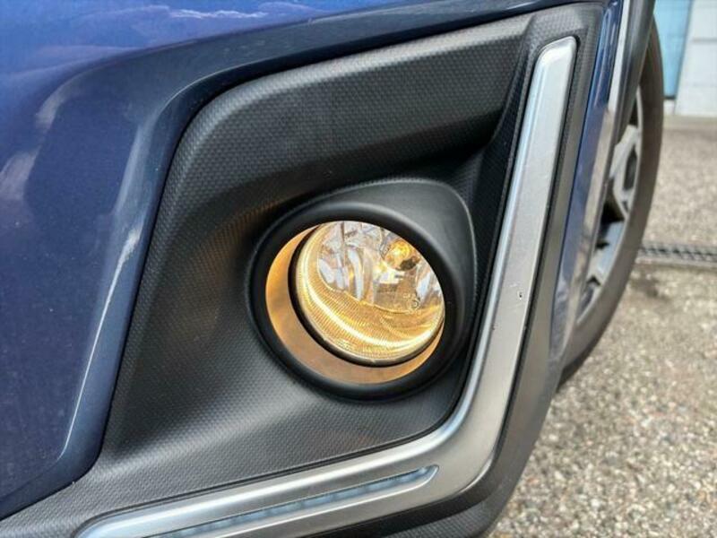 XV