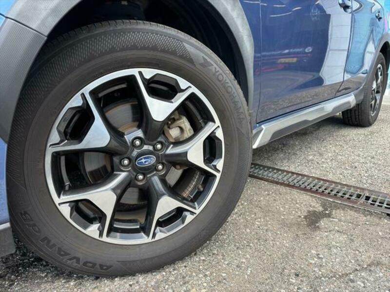 XV