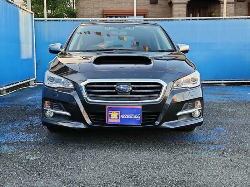 LEVORG
