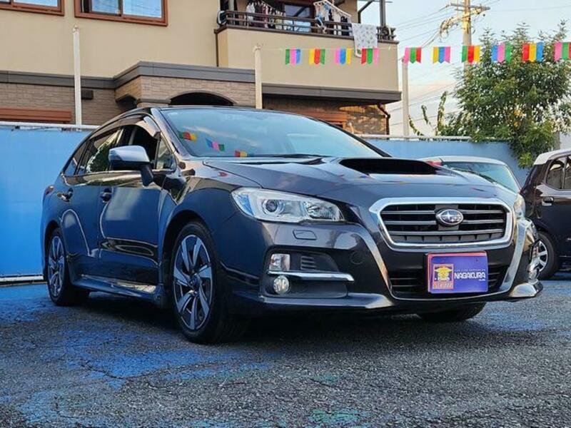 LEVORG