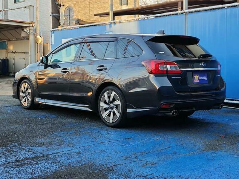 LEVORG