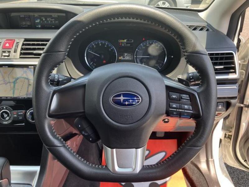 LEVORG