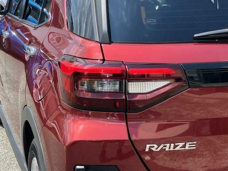 RAIZE