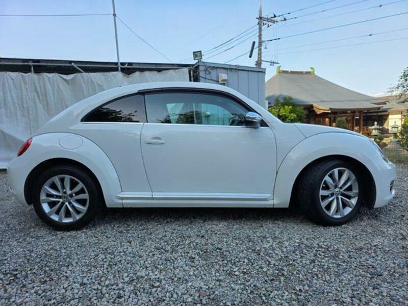 THE BEETLE