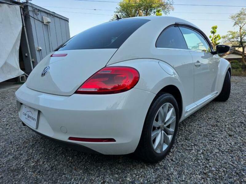 THE BEETLE