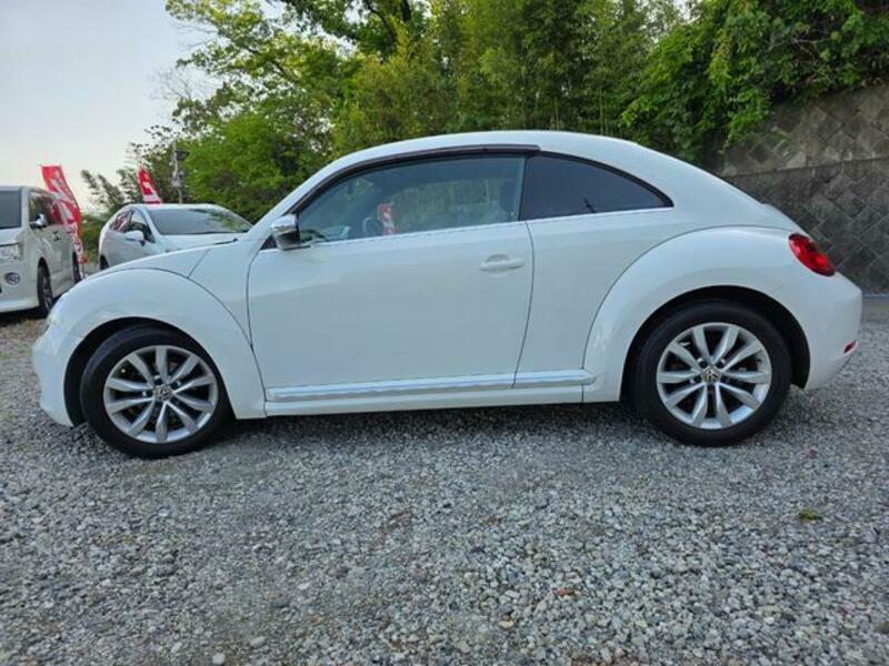 THE BEETLE