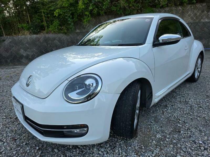THE BEETLE