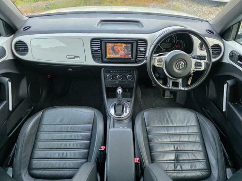 THE BEETLE