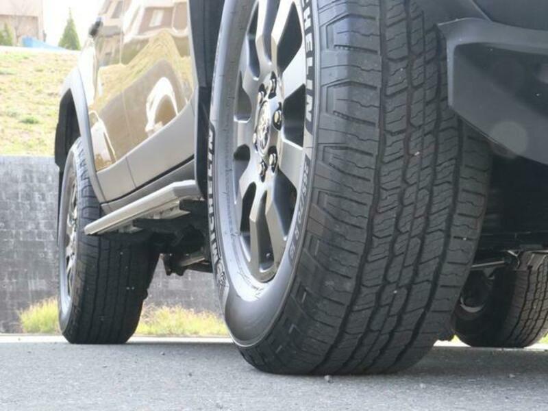 LAND CRUISER 250