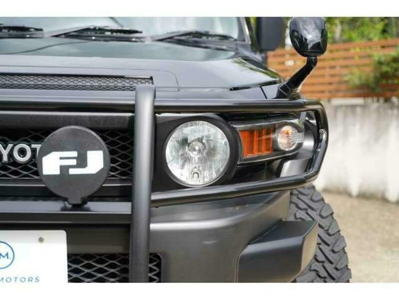 FJ CRUISER