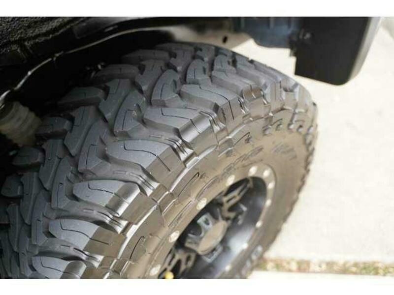 FJ CRUISER