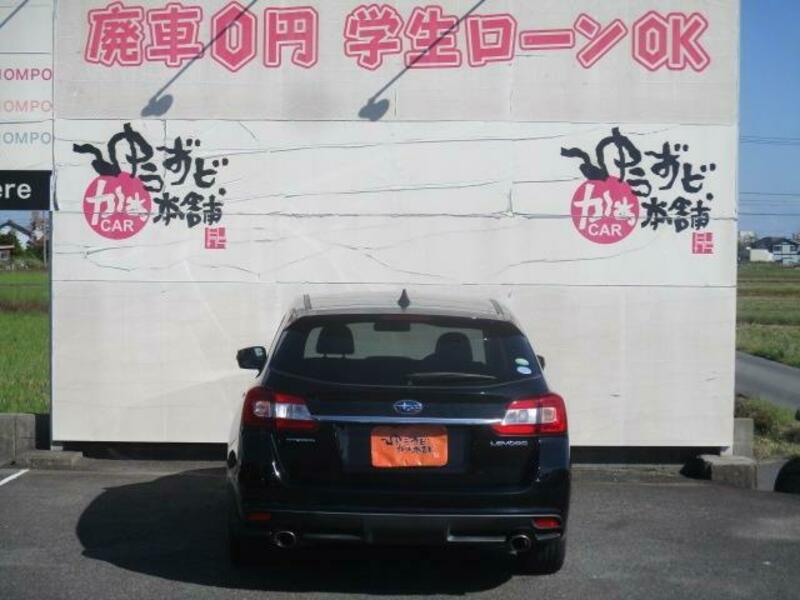 LEVORG