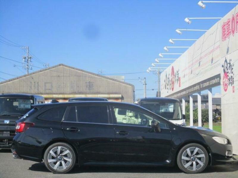 LEVORG