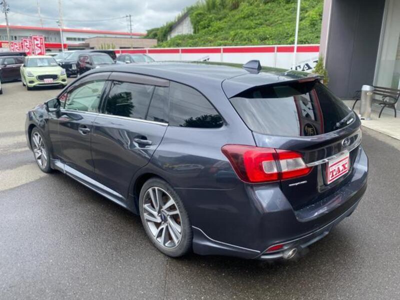 LEVORG