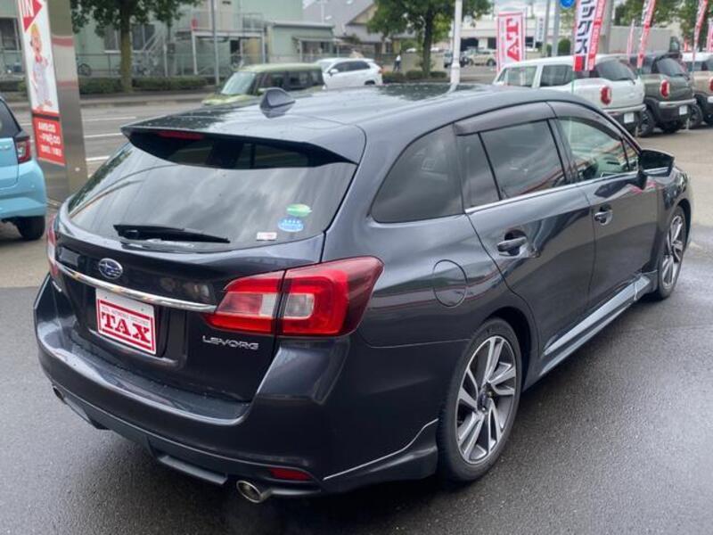 LEVORG