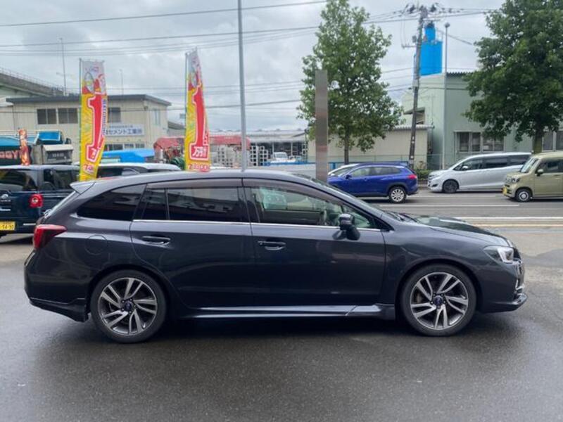 LEVORG