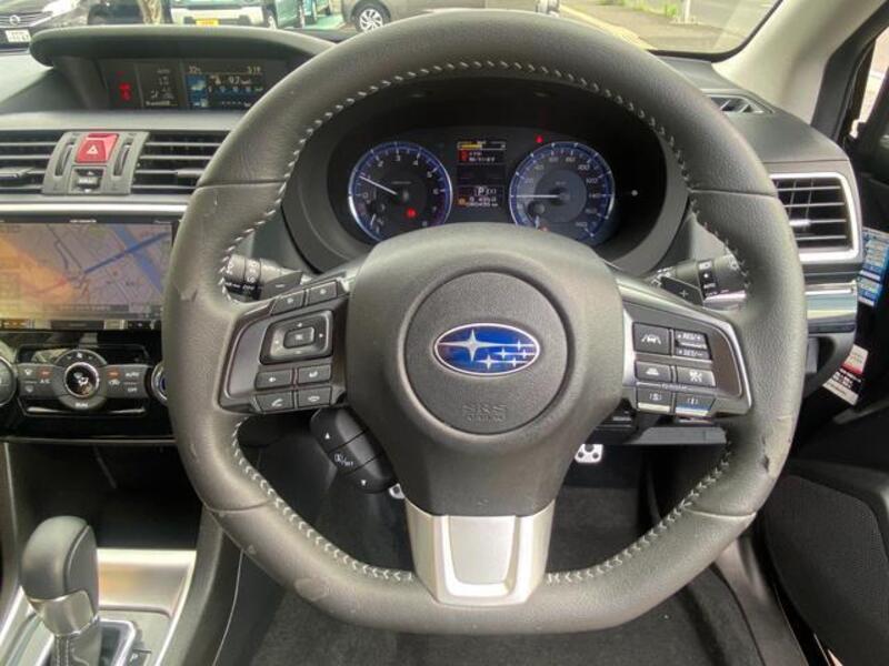 LEVORG