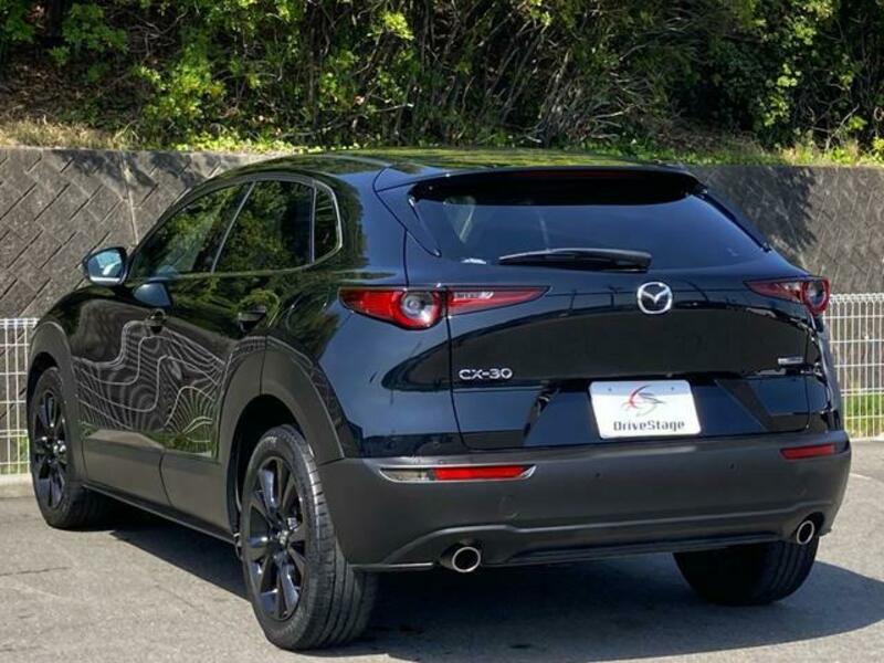 CX-30
