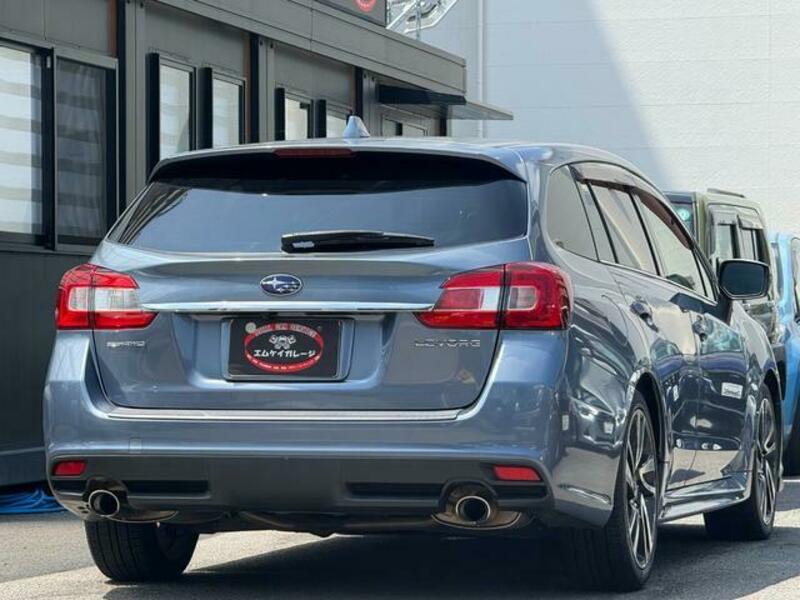 LEVORG