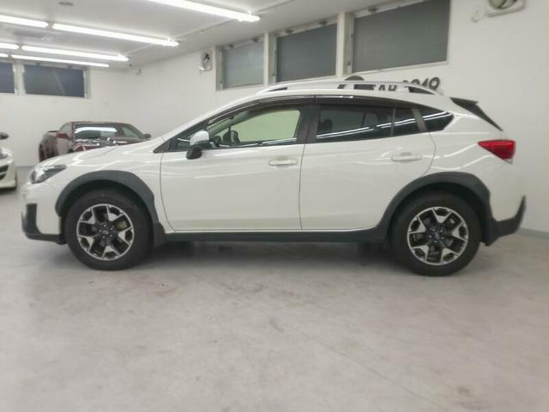 XV