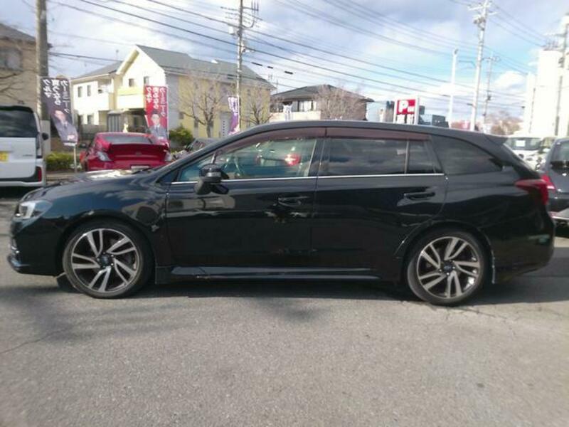 LEVORG