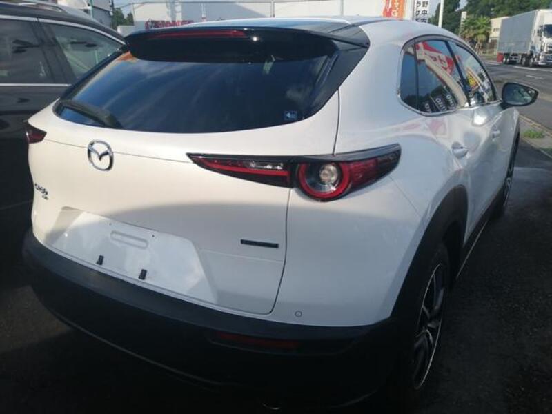 CX-30