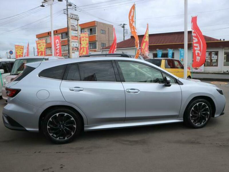 LEVORG