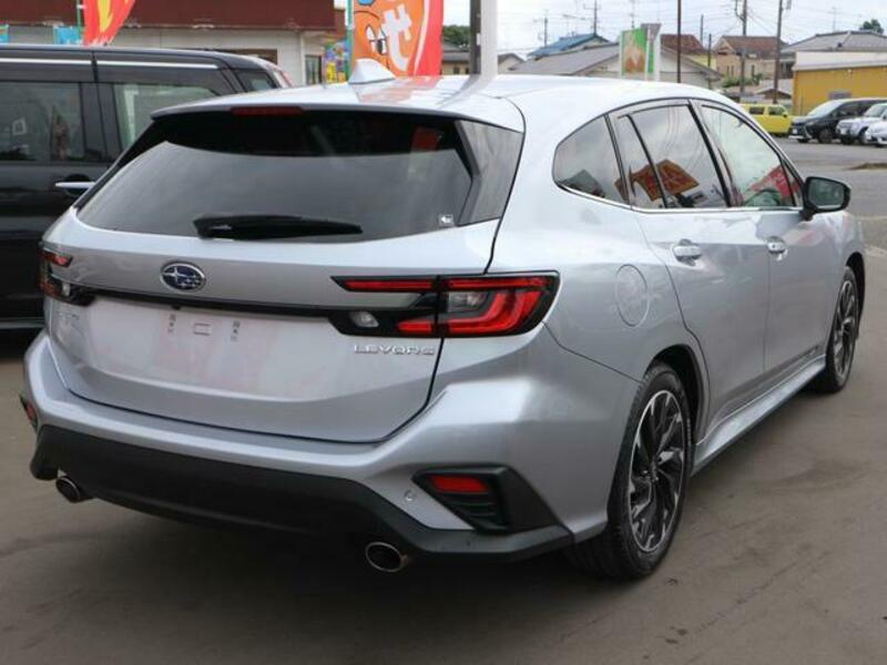 LEVORG
