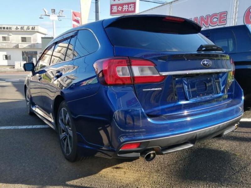 LEVORG