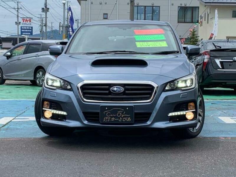 LEVORG