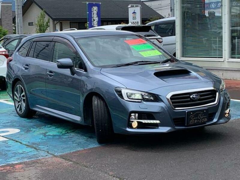 LEVORG
