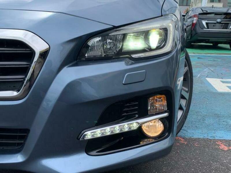 LEVORG