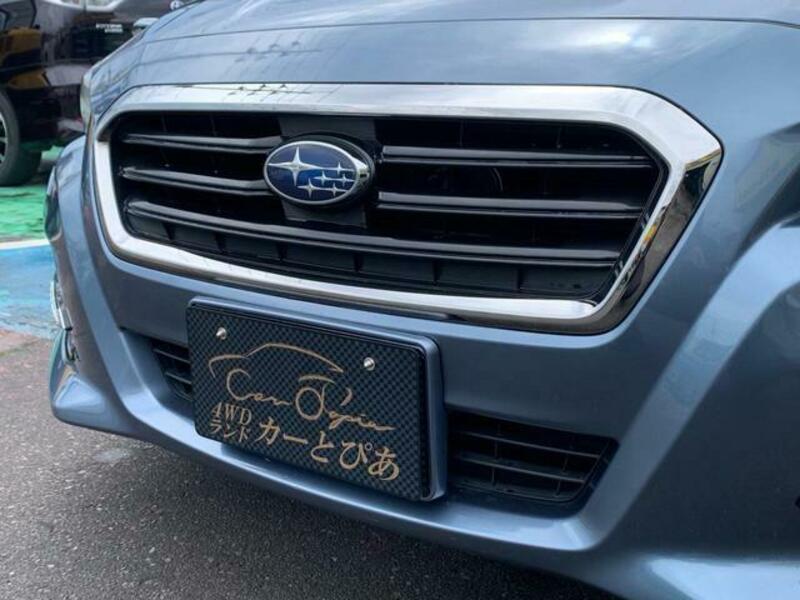 LEVORG