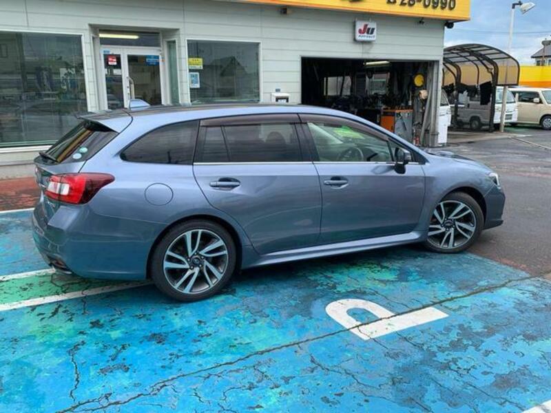 LEVORG