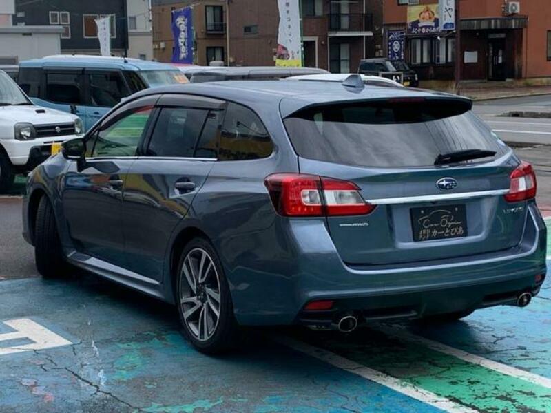 LEVORG