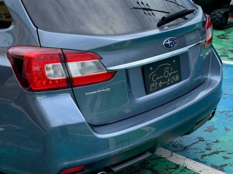LEVORG